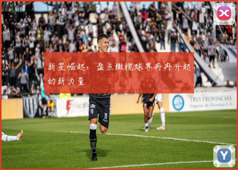 新星崛起，盘点橄榄球界冉冉升起的新力量